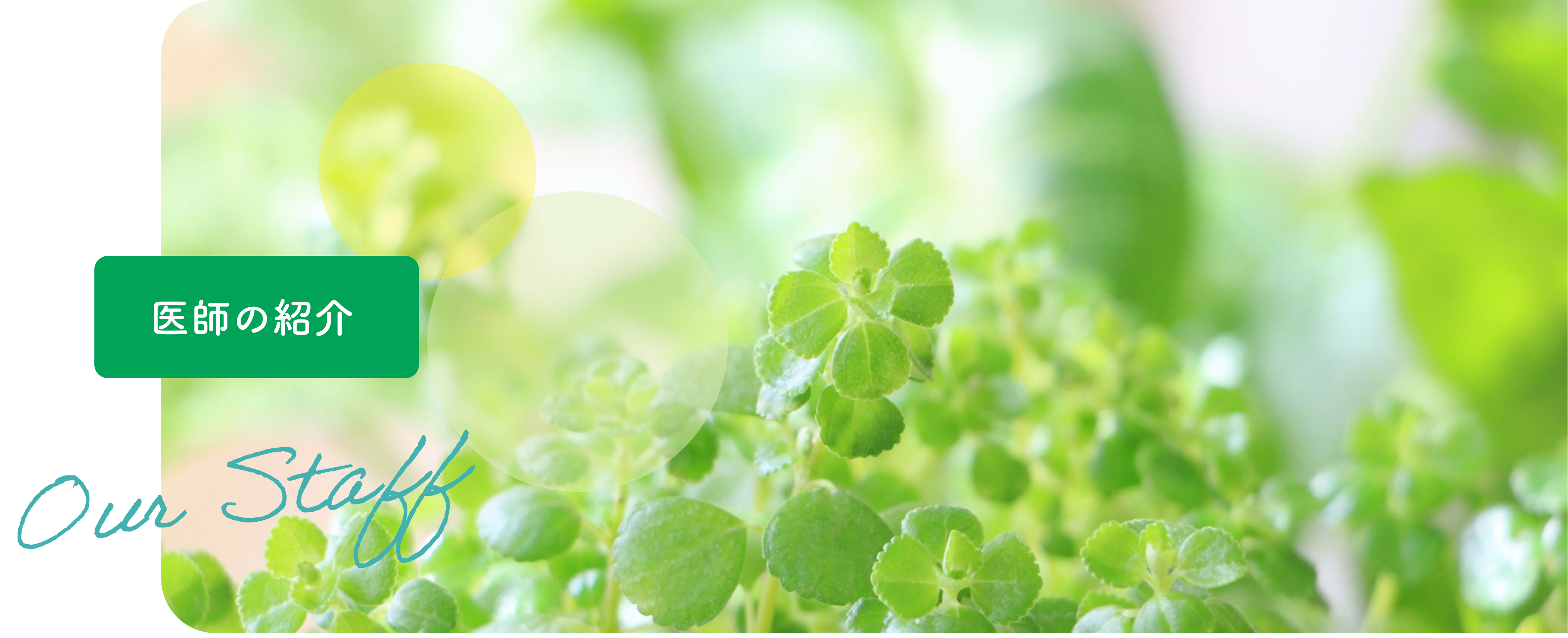 医師の紹介